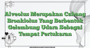 Alveolus Merupakan Cabang Bronkiolus Yang Berbentuk Gelembung Udara Sebagai Tempat Pertukaran