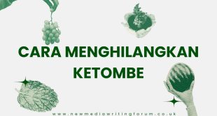 Cara Menghilangkan Ketombe dan Miliki Rambut Bebas Masalah