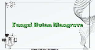 Fungsi Hutan Mangrove