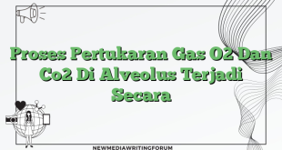 Proses Pertukaran Gas O2 Dan Co2 Di Alveolus Terjadi Secara