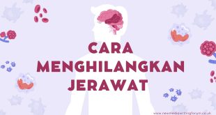 Cara Menghilangkan Jerawat di Wajah